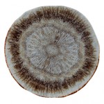 IRIS ΠΙΑΤΟ ΡΗΧΟ 31CM
