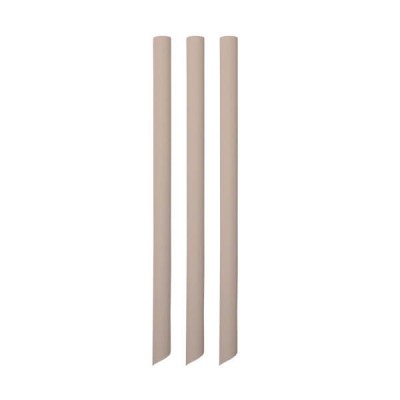 ΚΑΛΑΜΑΚΙΑ BAMBOO Ø 12 X 230 MM, 100 PCS